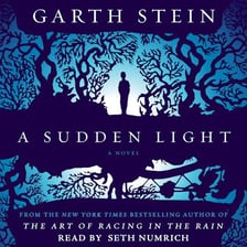 A bright light illuminating an open book to suggest a sudden insight.