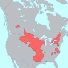 A map showing the historical distribution of Siouan languages in North America.