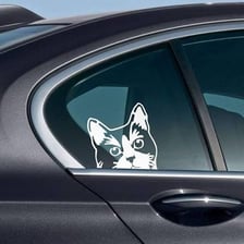 A decorative vinyl decal attached to a vehicle window.