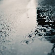 Rainwater making a paved surface wet