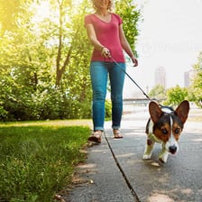 Two people walking together, illustrating accompaniment.