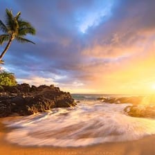 A tropical landscape on Maui in Hawaii.