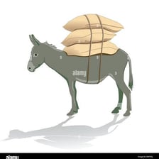 A pack animal carrying an excessively heavy load.