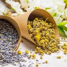 White-petaled, yellow-centered chamomile flowers beside a cup of tea.
