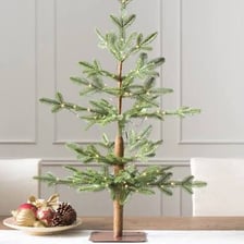 A small balsam fir, a conical evergreen tree with dense green needles.