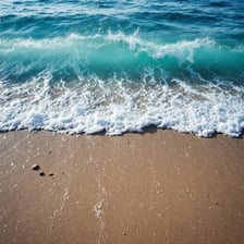 An ocean shoreline where seawater meets the land.