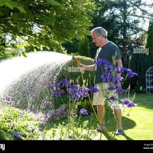 A person using a garden hose to water plants.