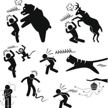 A fierce animal attack illustrating violent or brutal action.