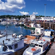 A boat secured alongside a wharf.