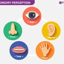 An illustration of a human eye representing visual perception.