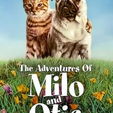 A pug representing Otis from The Adventures of Milo and Otis