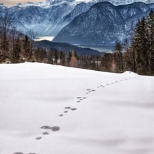 A snowy landscape with no visible footprints or tracks.
