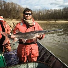 A paddlefish with its long, flattened paddle-shaped snout visible.