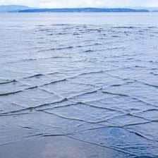 Small ripples spreading across the surface of a calm lake.