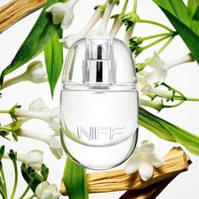 A simple illustration of an object described as having no detectable fragrance