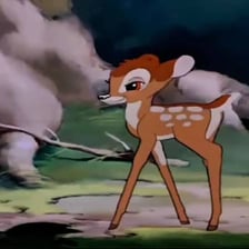 A young deer standing in a forest setting