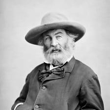 Portrait of American poet Walt Whitman