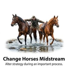 A horse stands in a shallow river, illustrating the phrase “change horses midstream.”