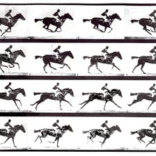 A horse running at a full gallop