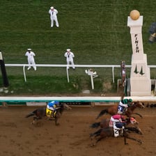 Three successful racehorses approaching a finish line.