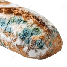 A loaf of bread showing visible mold from spoilage.