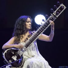 A traditional Indian sitar with its long fretted neck