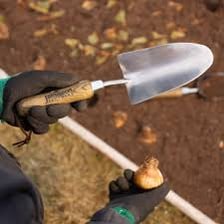 Hand trowels used for gardening and plastering