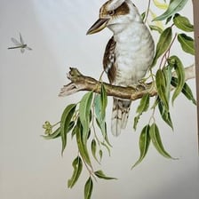 A kookaburra perched on a branch of a gum tree