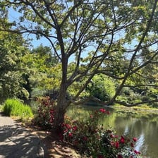 A landscaped arboretum containing many labelled trees