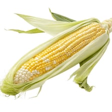 A yellow ear of corn on the cob