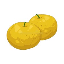 A cut sour fruit illustrating a bitter or acidic taste