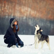 A person making a loud howling cry.