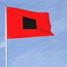 A red flag being used as a visible warning signal.