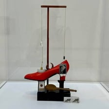 A display featuring an unusually peculiar object.