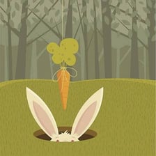 A carrot suspended in front of someone as a tempting reward