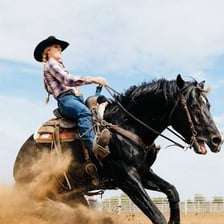 A rider training a bucking horse in a fenced arena