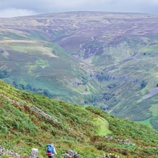 A person walking along a countryside trail.