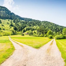 A path dividing into two alternative routes.