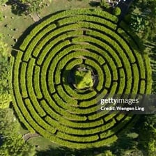 An aerial view of a hedge maze with winding paths