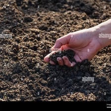 Dark, crumbly loam soil suitable for growing plants