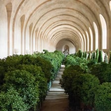 A historic glass orangery used for growing citrus trees