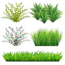 Brushwood vegetation beside a cancelled-plan symbol