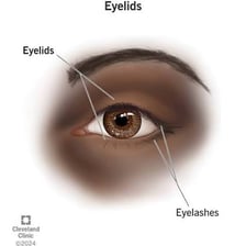 A close-up view of a human eye and eyelid
