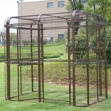 Birds living inside a spacious aviary enclosure