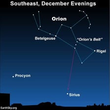 The bright star Sirius shining in the night sky