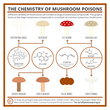 A poisonous mushroom representing a naturally produced toxin.