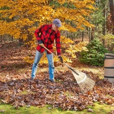 A person gathering fallen leaves with a rake