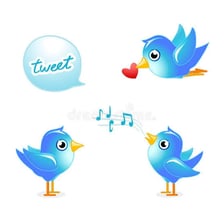 Birds twittering beside a social media-themed visual