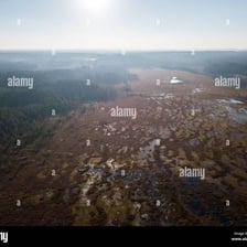 A stretch of saturated boggy ground