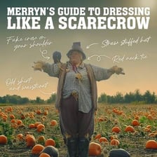 A scarecrow wearing a shirt in a field
